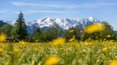Eibsee Hotel: Ihre 4*S-Wohlfühloase am Fuße der Zugspitze