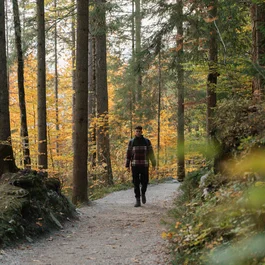 Eibsee Hotel: die stille Seite des Sees am Fuß der Zugspitze